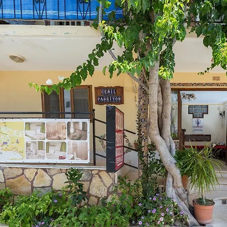 Maison d'hôtes Cemil *